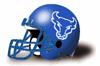 Buffalo Bulls